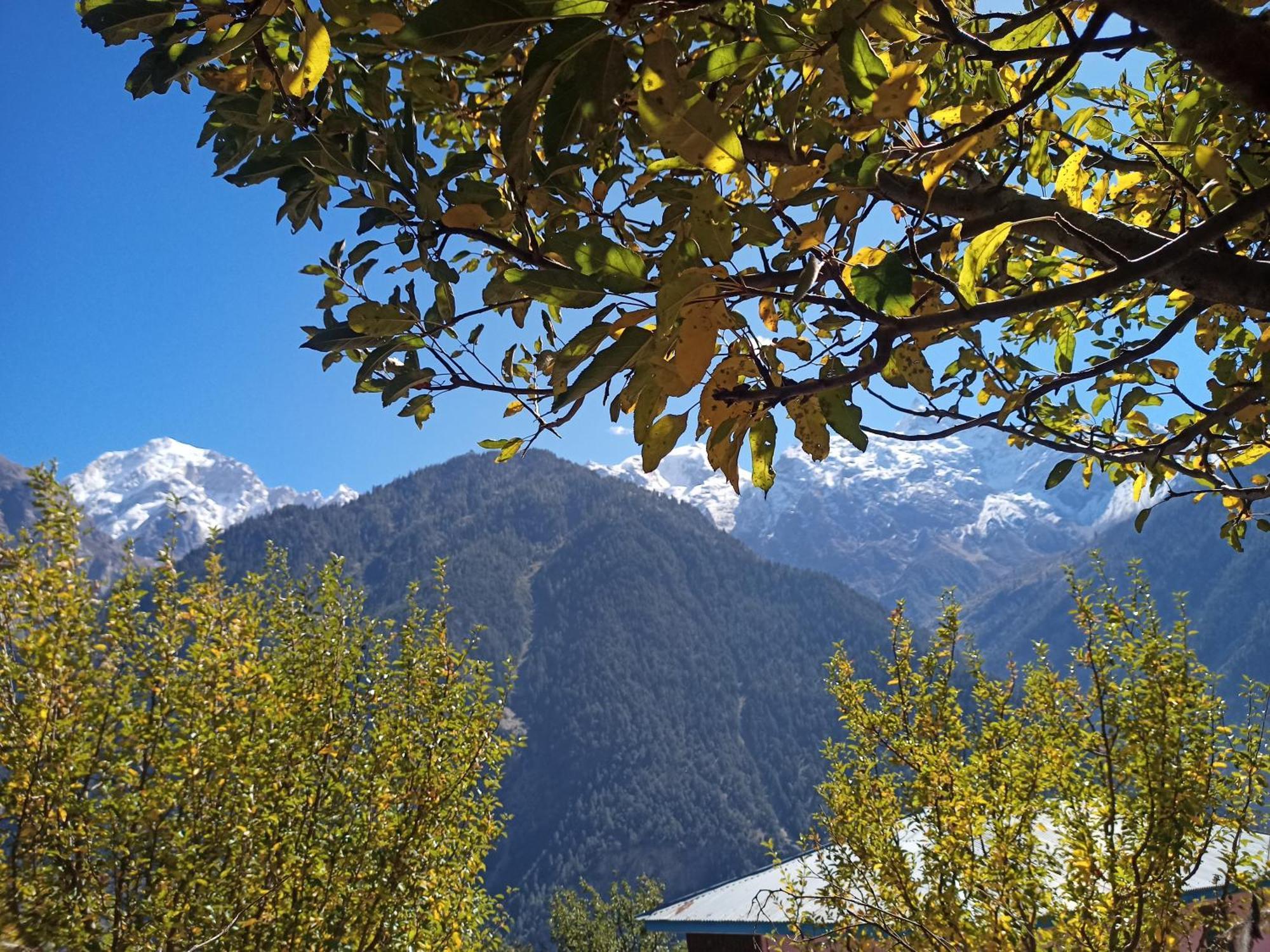 The Shudarang Inn Кальпа Экстерьер фото
